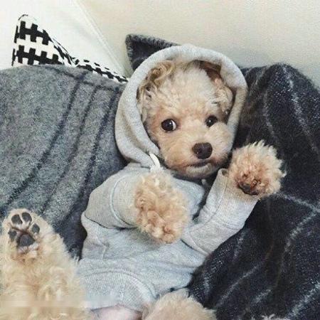 ӡȶس̨ʩϿף ǿ